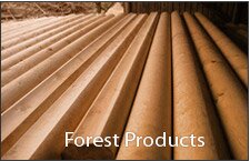 Forest products Forest products